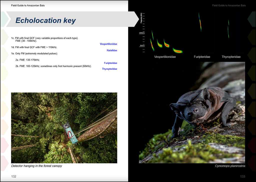 FIELD GUIDE TO THE BATS OF THE AMAZON. 2ND ED. 4