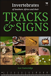 THE INVERTEBRATES OF SOUTHERN AFRICA & THEIR TRACKS AND SIGNS