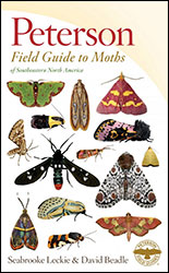 PETERSON FIELD GUIDE TO MOTHS OF SOUTHEASTERN NORTH AMERICA 1
