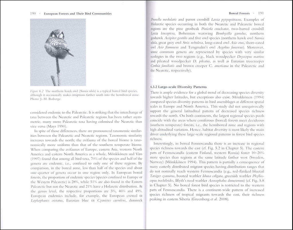 ECOLOGY AND CONSERVATION OF FOREST BIRDS 3