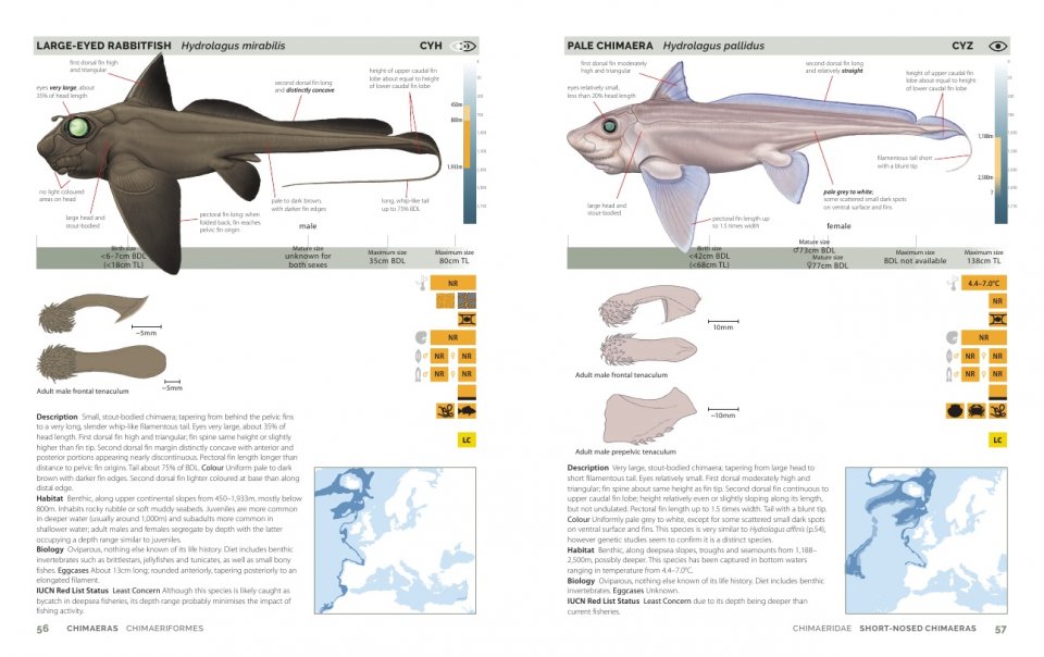 FIELD GUIDE TO SHARKS, RAYS AND CHIMAERAS OF EUROPE AND THE MEDITERRANEAN 2