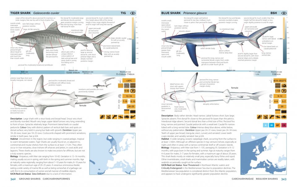 FIELD GUIDE TO SHARKS, RAYS AND CHIMAERAS OF EUROPE AND THE MEDITERRANEAN 5