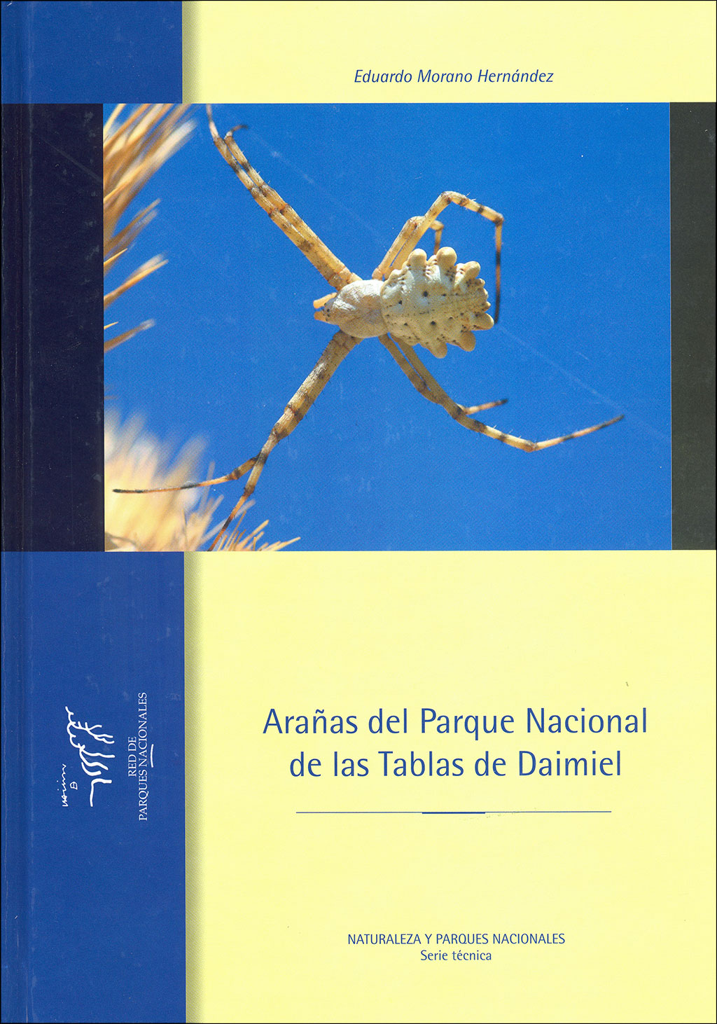 ARAÑAS DEL PARQUE NACIONAL DE LAS TABLAS DE DAIMIEL 1