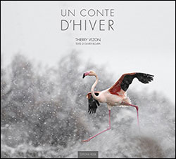 UN CONTE D'HIVER