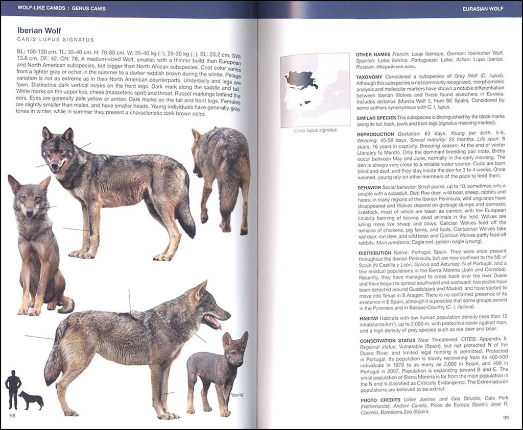 CANIDS OF THE WORLD. WOLVES, WIL DOGS, FOXES, JACKALS, COYOTES, AND THEIR RELATIVES 3