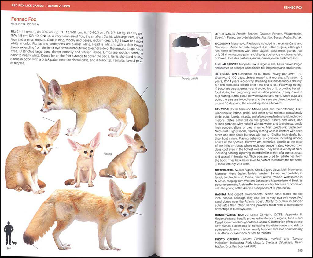 CANIDS OF THE WORLD. WOLVES, WIL DOGS, FOXES, JACKALS, COYOTES, AND THEIR RELATIVES 4