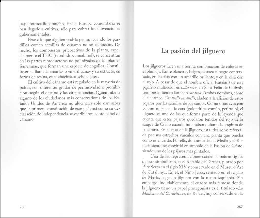 AVES Y HUMANOS, O VICEVERSA 4