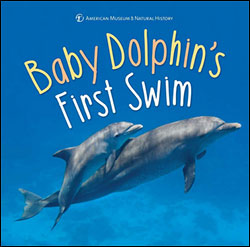 BABY DOLPHIN'S FIRST SWIM