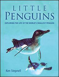 LITTLE PENGUINS 1