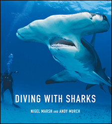 DIVING WITH SHARKS 1