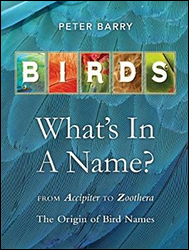 BIRDS, WHAT'S IN A NAME?