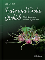 RARE AND EXOTIC ORCHIDS 1