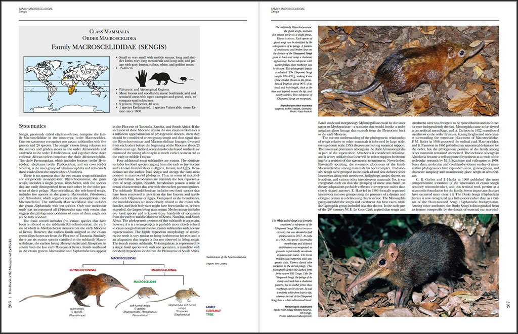 HANDBOOK OF THE MAMMALS OF THE WORLD. VOL. 8 INSECTIVORES, SLOTHS AND COLUGOS 3
