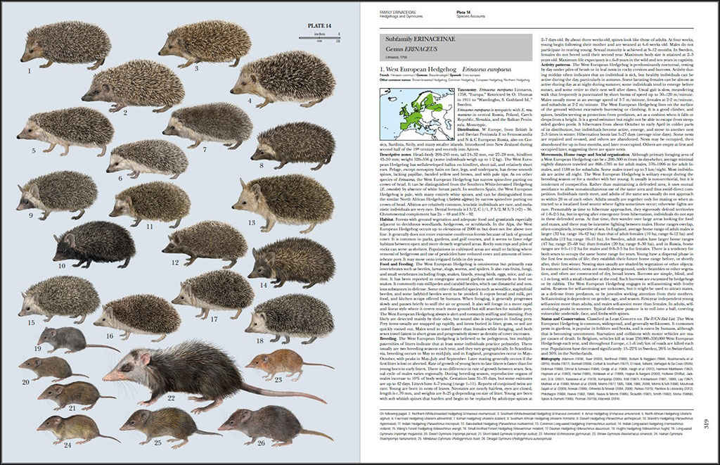 HANDBOOK OF THE MAMMALS OF THE WORLD. VOL. 8 INSECTIVORES, SLOTHS AND COLUGOS 4