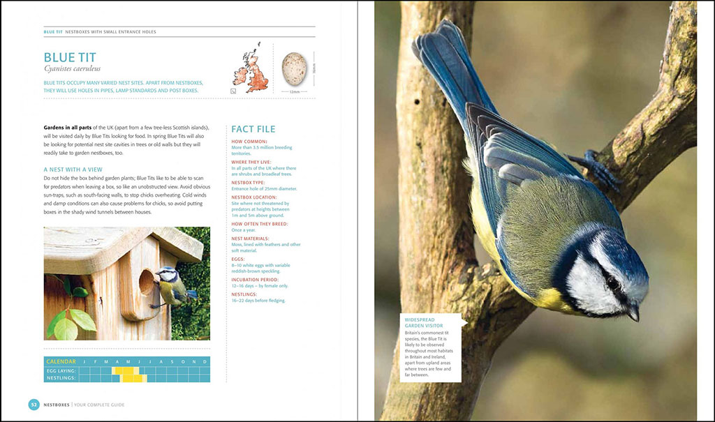 NESTBOXES: YOUR COMPLETE GUIDE 3