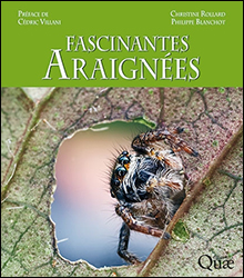 FASCINANTES ARAIGNÉES           1