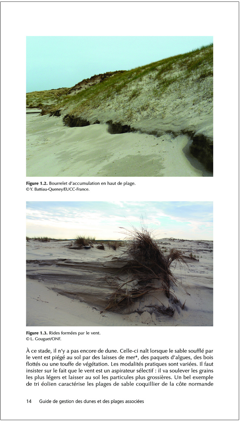 GUIDE DE GESTION DES DUNES ET DES PLAGES ASSOCIÉES 5