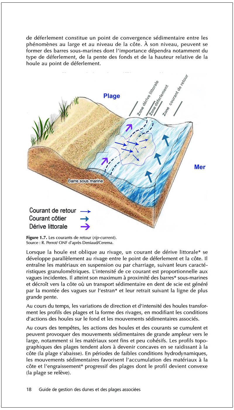 GUIDE DE GESTION DES DUNES ET DES PLAGES ASSOCIÉES 8