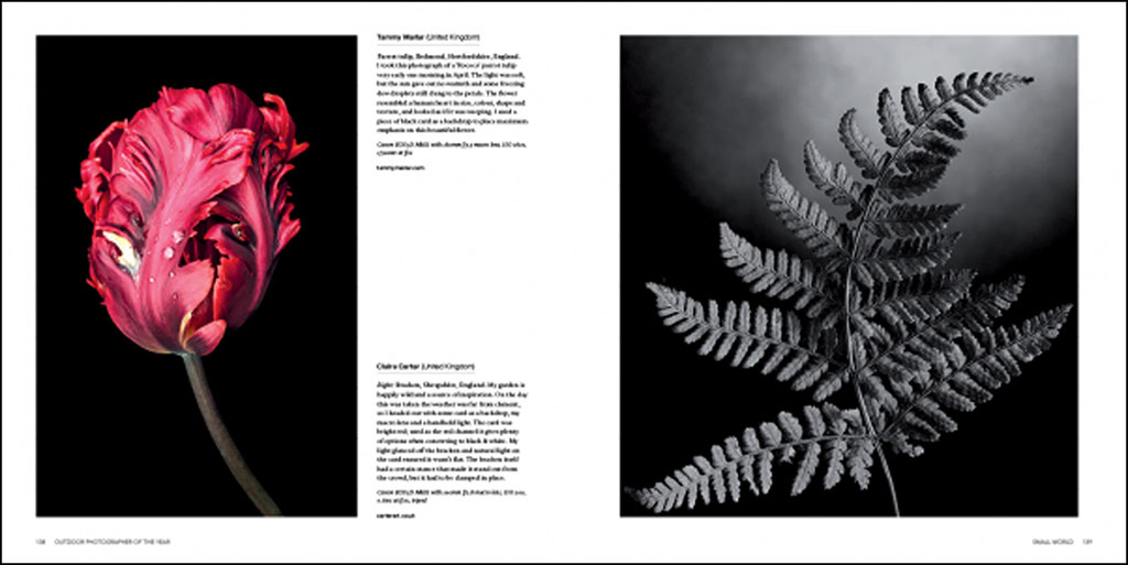 OUTDOOR PHOTOGRAPHER OF THE YEAR. PORTFOLIO III 4