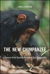 THE NEW CHIMPANZEE 1