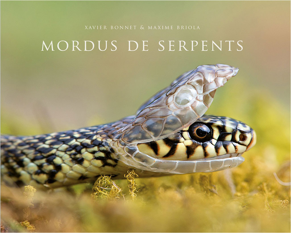 MORDUS DE SERPENTS 1