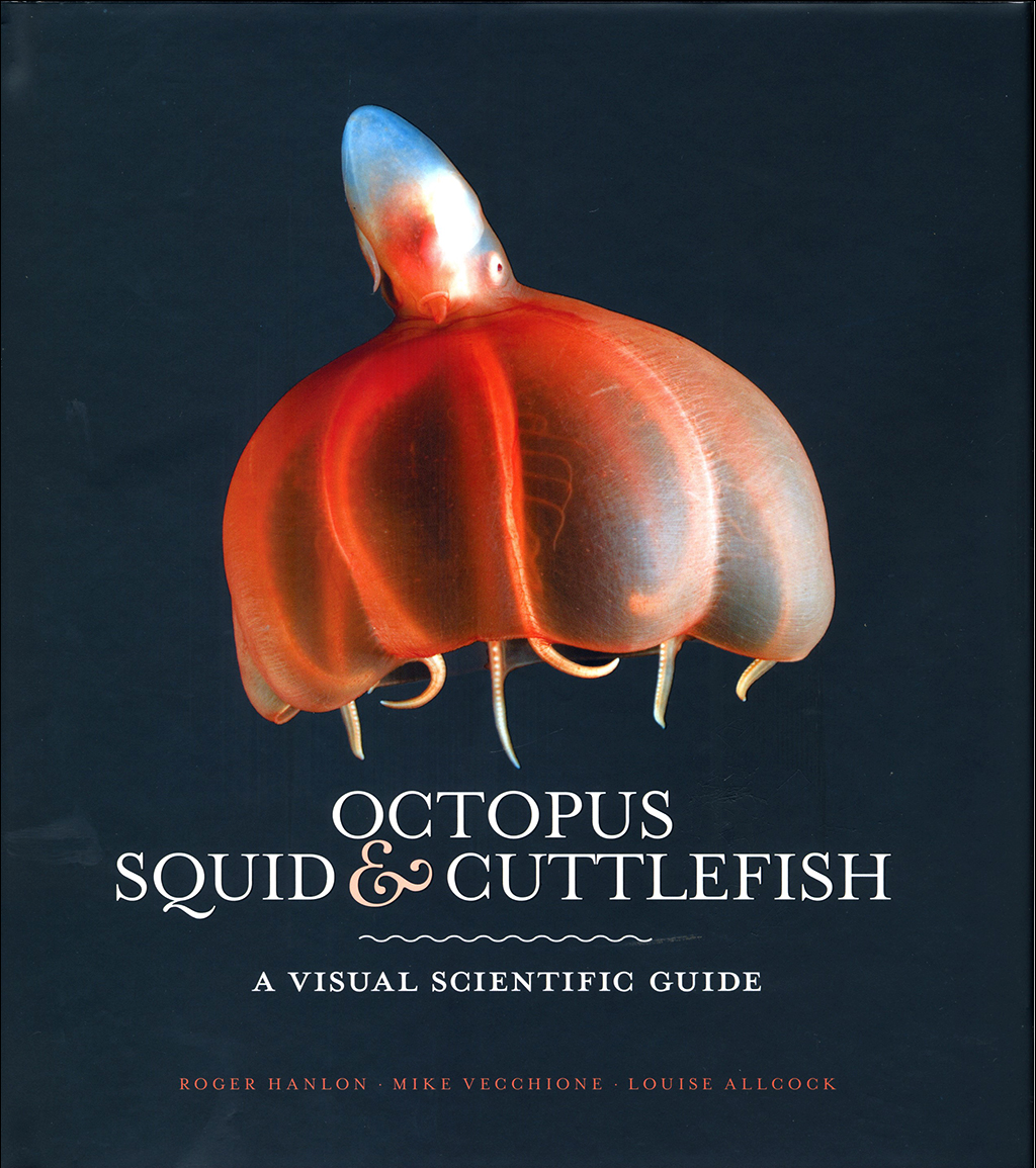 OCTOPUS, SQUID & CUTTLEFISH: THE WORLDWIDE ILLUSTRATED GUIDE TO CEPHALOPODS