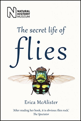 THE SECRET LIFE OF FLIES 1
