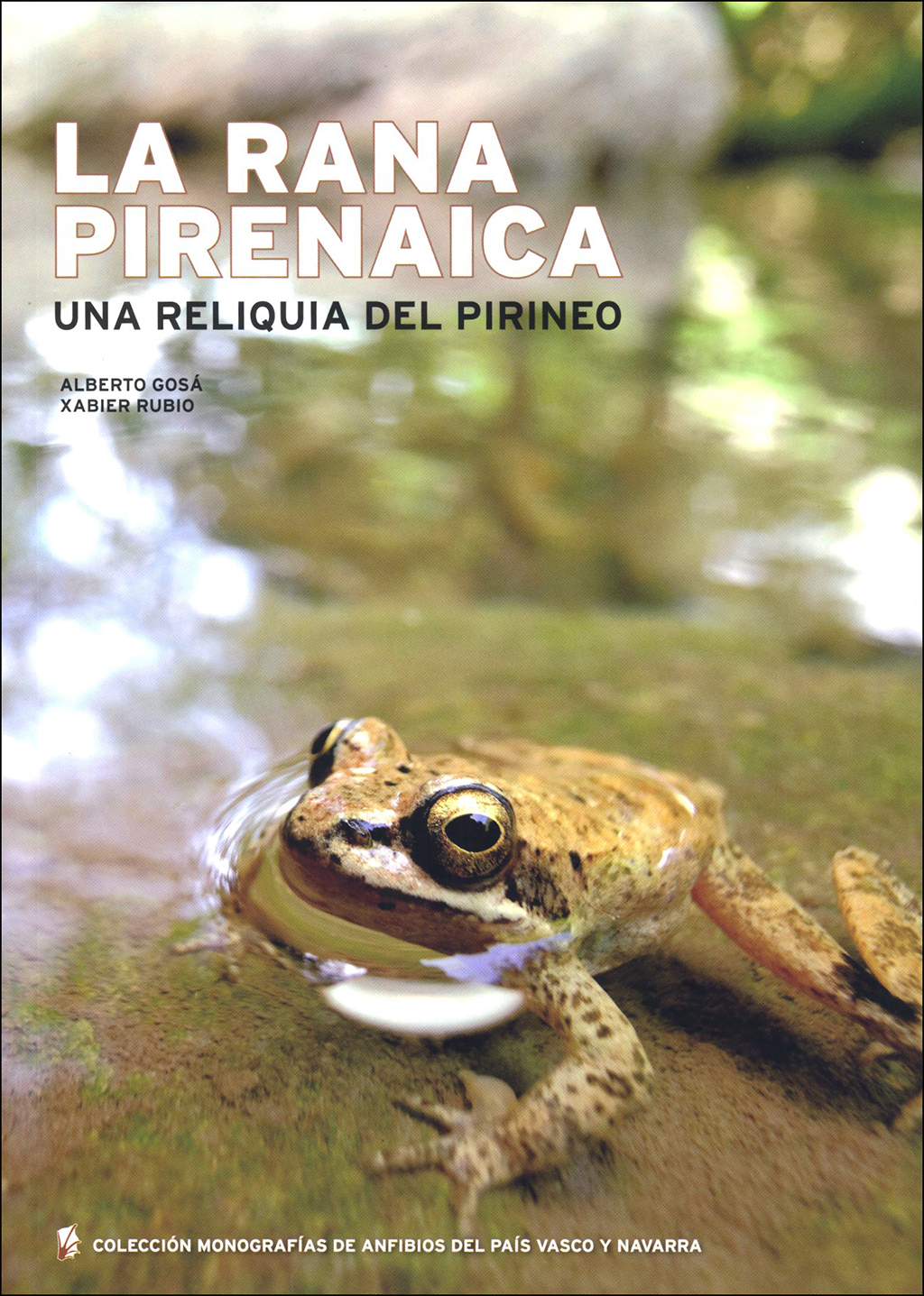 LA RANA PIRENAICA: UNA RELIQUIA DEL PIRINEO