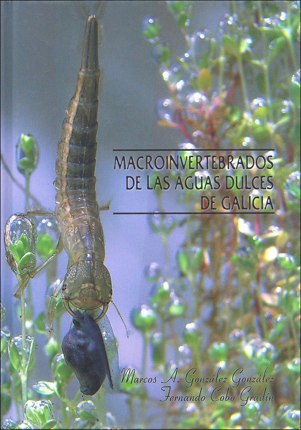 MACROINVERTEBRADOS DE LAS AGUAS DULCES DE GALICIA