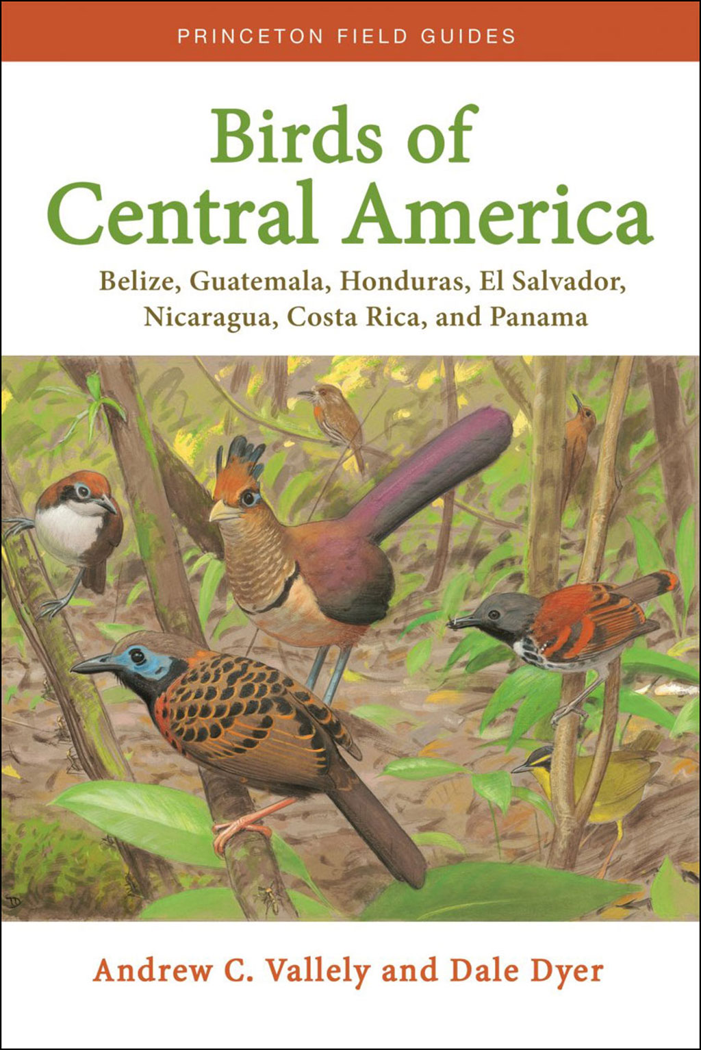 BIRDS OF CENTRAL AMERICA: BELIZE, GUATEMALA, HONDURAS, EL SALVADOR, NICARAGUA, COSTA RICA AND PANAMA 1
