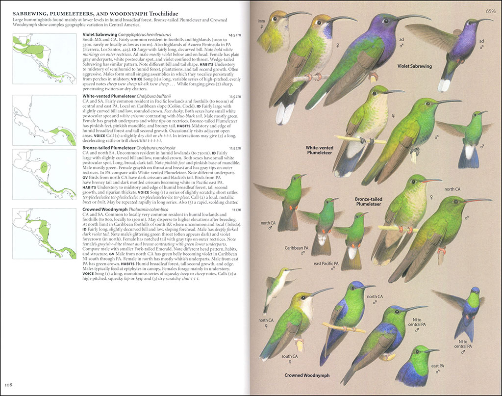BIRDS OF CENTRAL AMERICA: BELIZE, GUATEMALA, HONDURAS, EL SALVADOR, NICARAGUA, COSTA RICA AND PANAMA 2