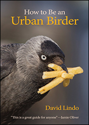 HOW TO BE AN URBAN BIRDER 1