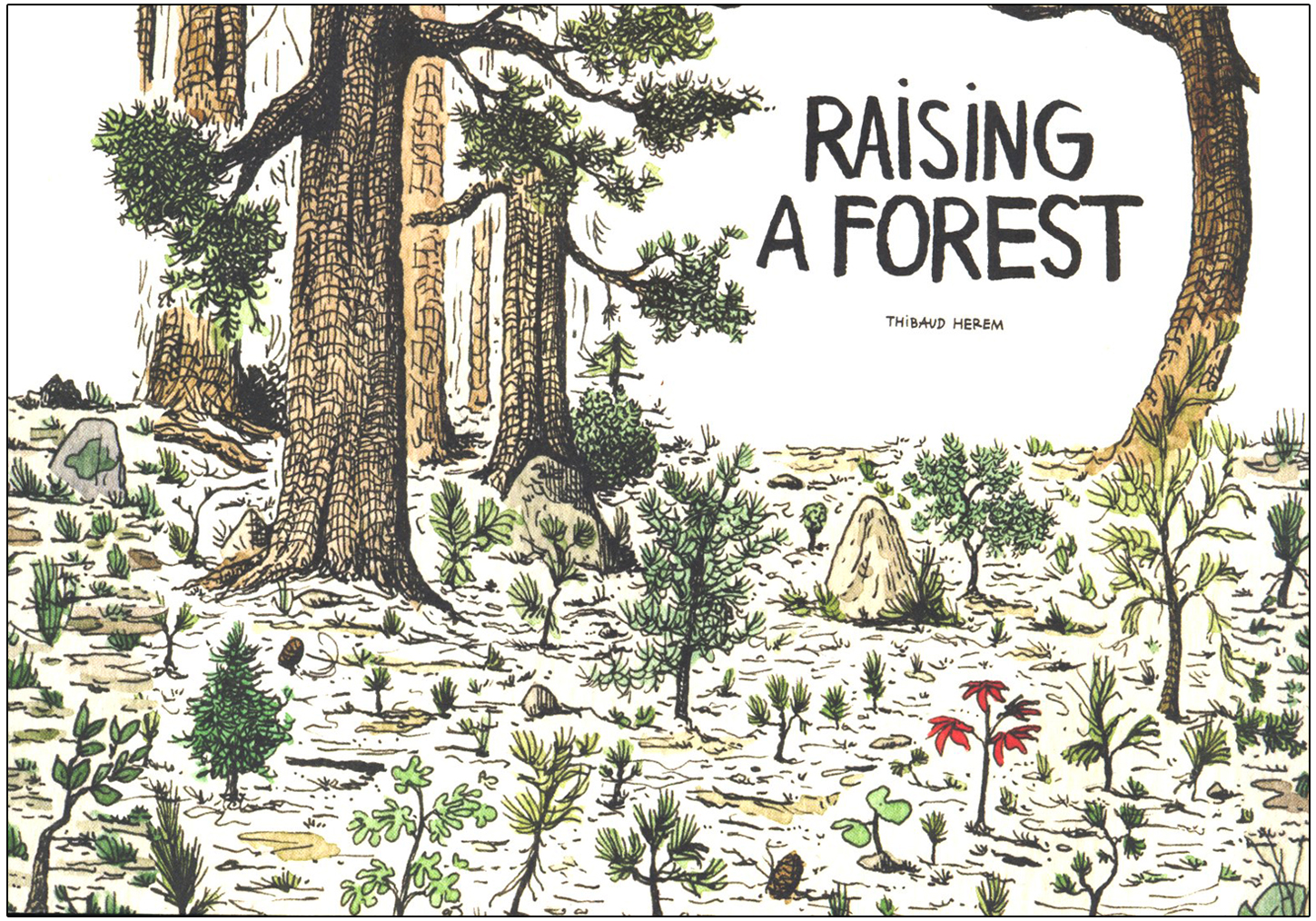 RAISING A FOREST