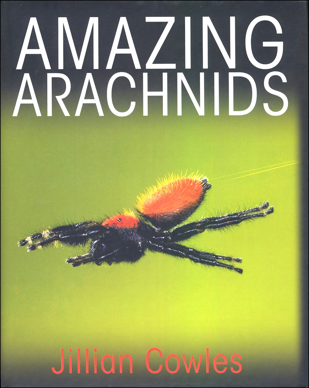 AMAZING ARACHNIDS