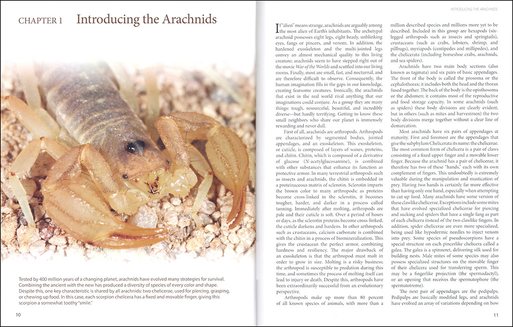 AMAZING ARACHNIDS 2