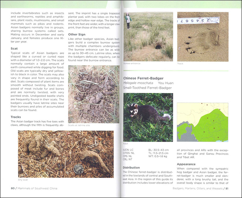 FIELD GUIDE TO THE WILDLIFE OF SOUTHWEST CHINA 3