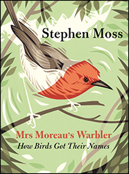 MRS MOREAU'S WARBLER: HOW BIRDS GOT THEIR NAMES