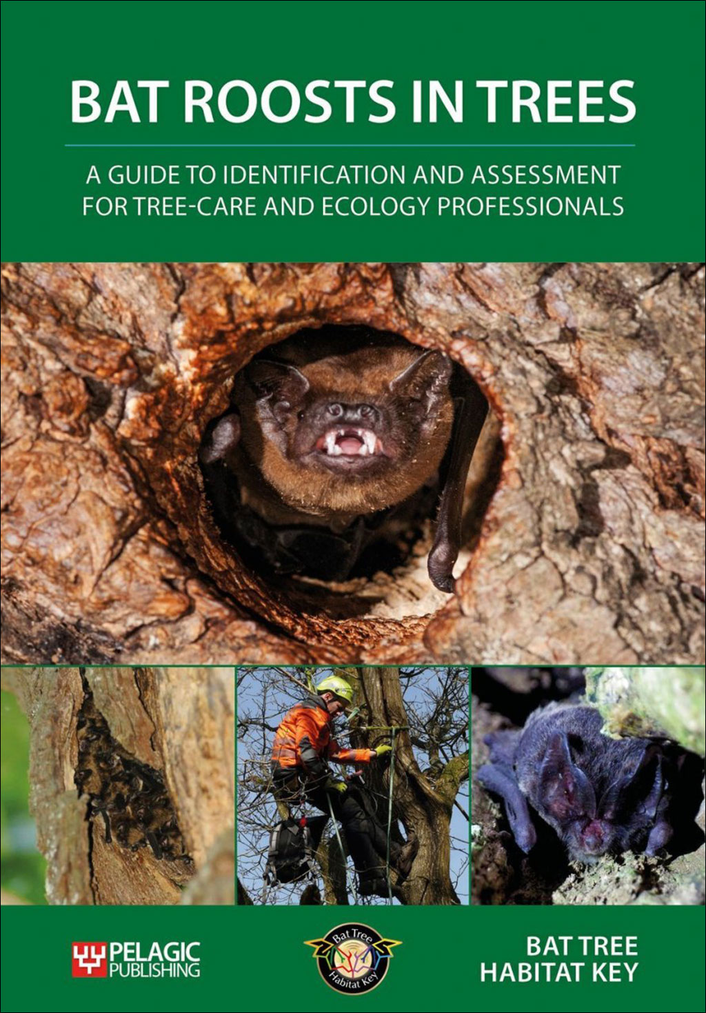 BAT ROOSTS IN TREES: A GUIDE TO IDENTIFICATION AND ASSESSMENT FOR TREE-CARE AND ECOLOGY PROFESSIONALS