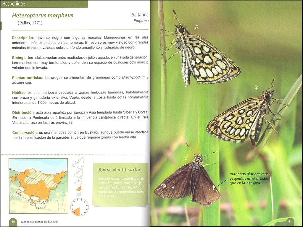 MARIPOSAS DIURNAS DE EUSKADI 2