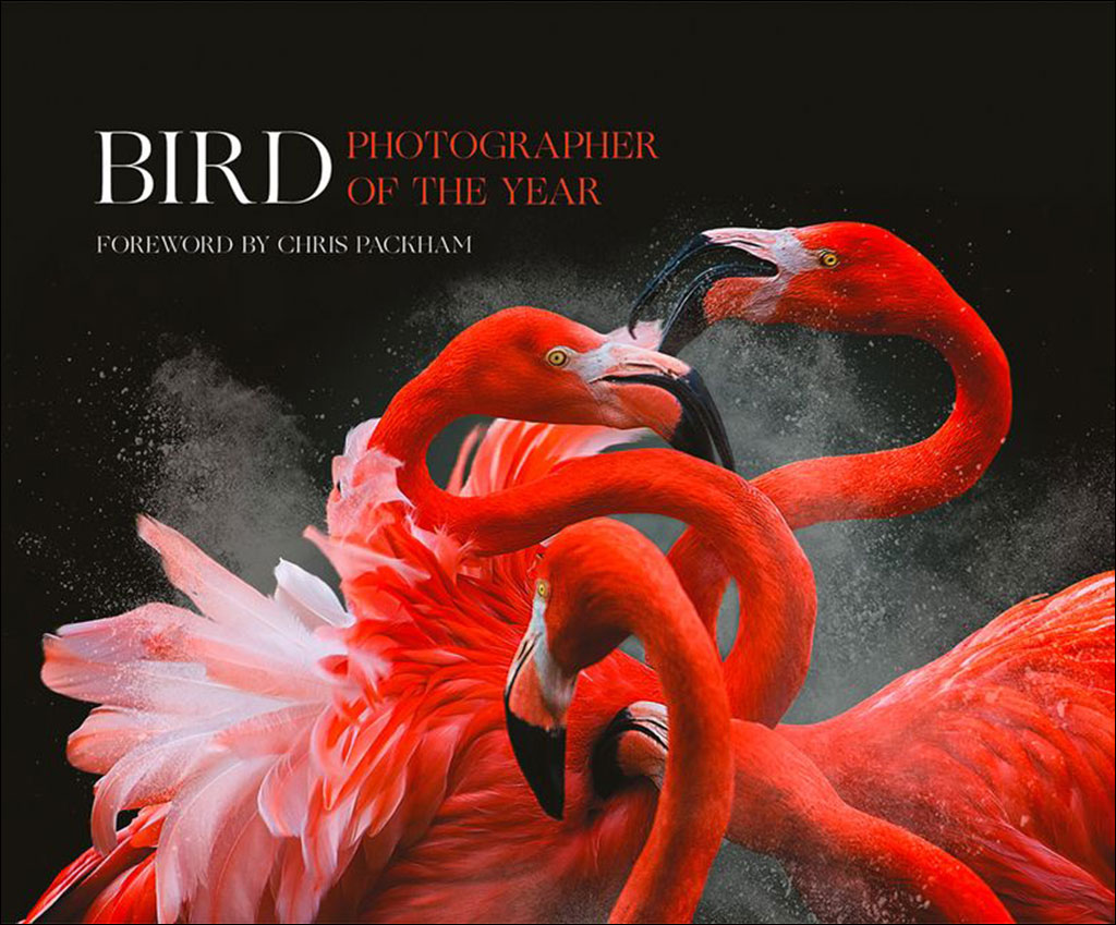 BIRD PHOTOGRAPHER OF THE YEAR. COLLECTION 3