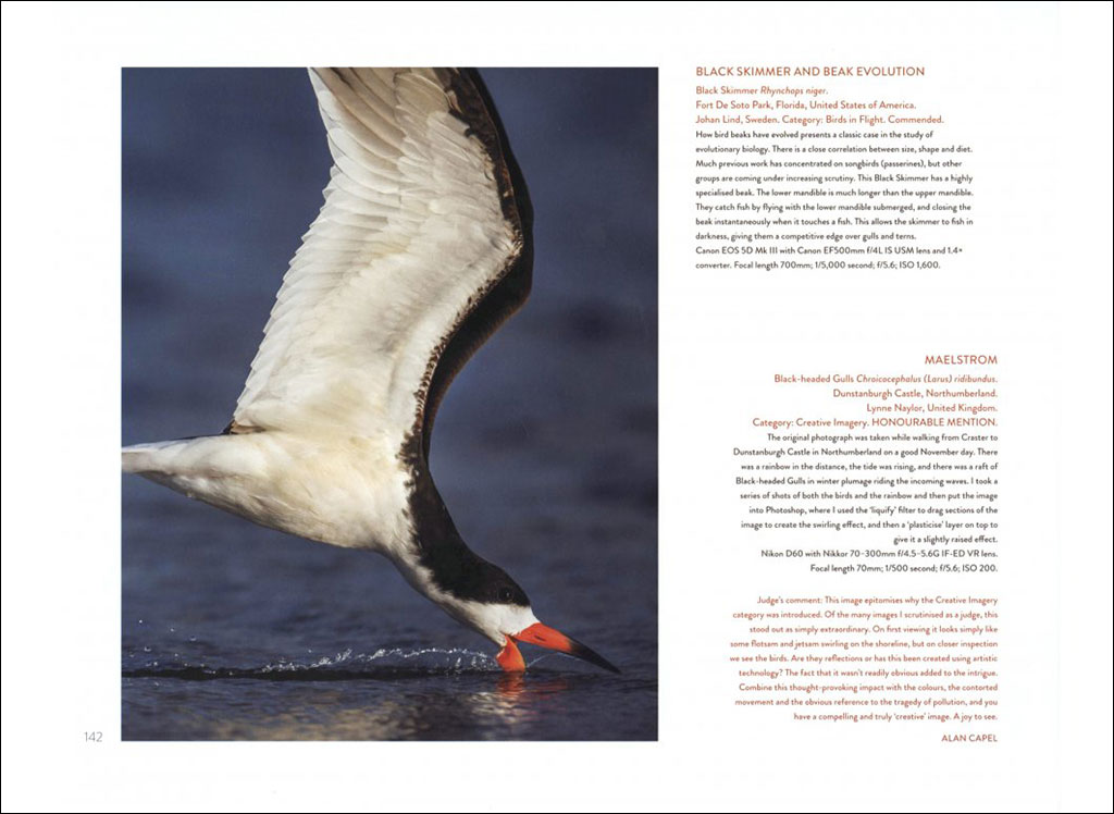 BIRD PHOTOGRAPHER OF THE YEAR. COLLECTION 3 3