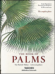 MARTIUS. THE BOOK OF PALMS 1