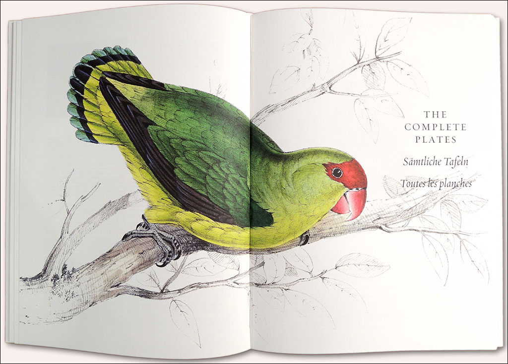 THE PARROTS. DIE PAPAGEIEN. LES PERROQUETS: THE COMPLETE PLATES 2