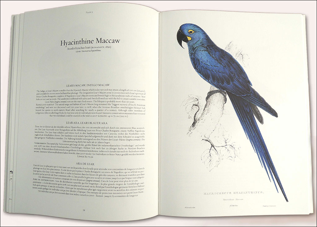 THE PARROTS. DIE PAPAGEIEN. LES PERROQUETS: THE COMPLETE PLATES 4