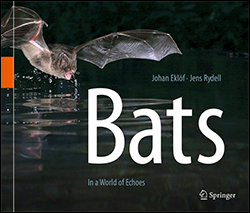 BATS: IN THE WORLD OF ECHOES 1