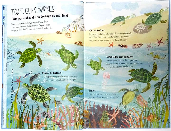 EL GRAN LLIBRE DEL MAR 2