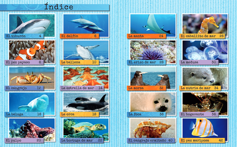 LOS ANIMALES DEL MAR 2