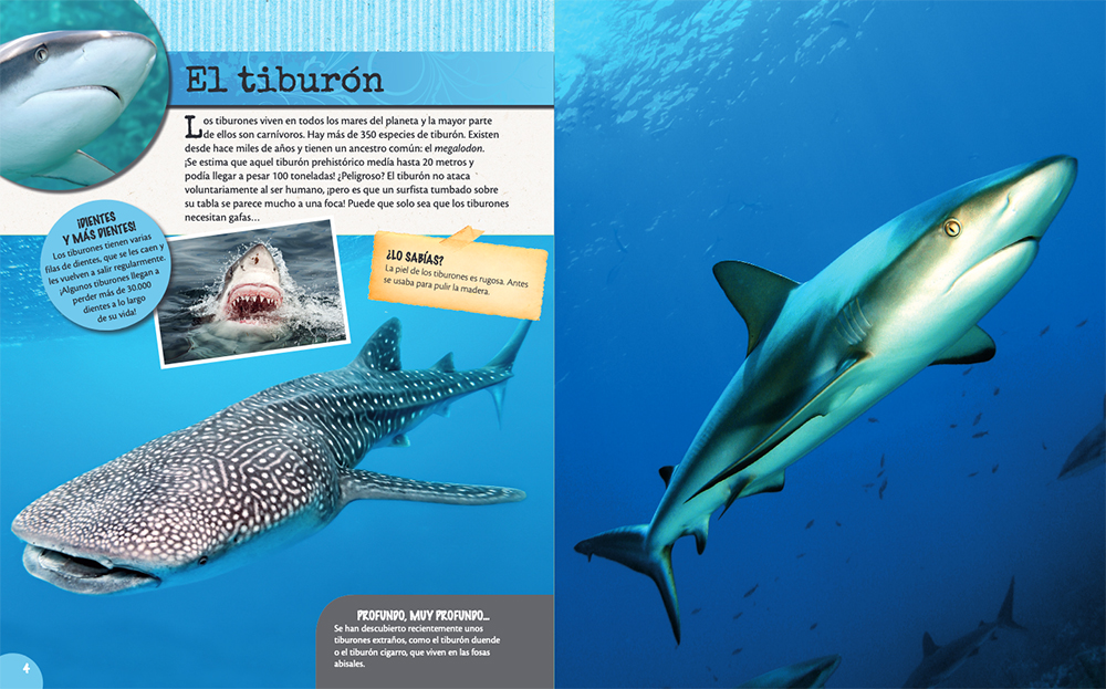 LOS ANIMALES DEL MAR 3