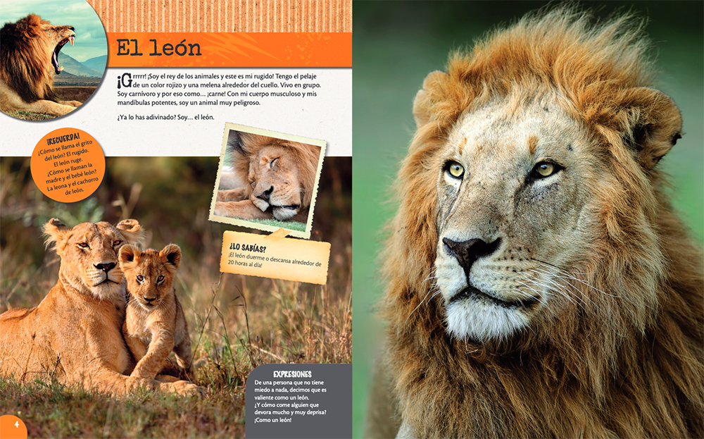 LOS ANIMALES DE LA SABANA 2