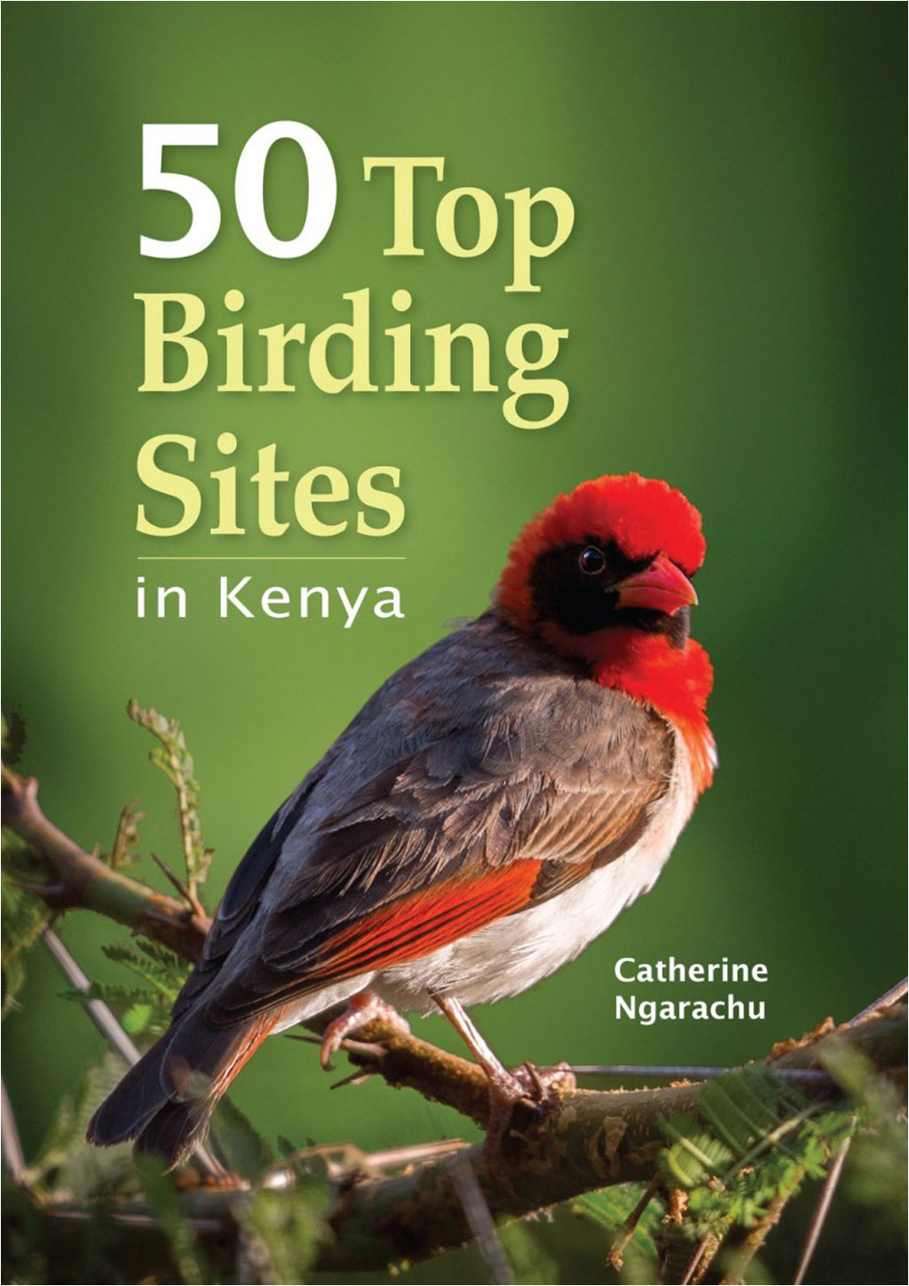 50 TOP BIRDING SITES IN KENYA